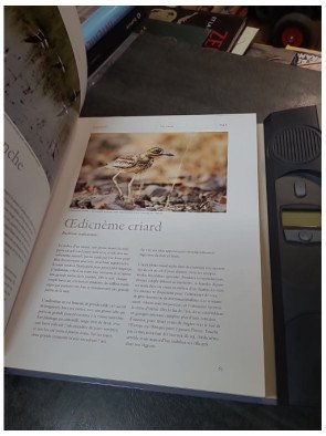 Chants d'Oiseaux : Guide illustré et sonore (lecteur intégré) de Lars Svensson et Jan Pedersen | Larousse