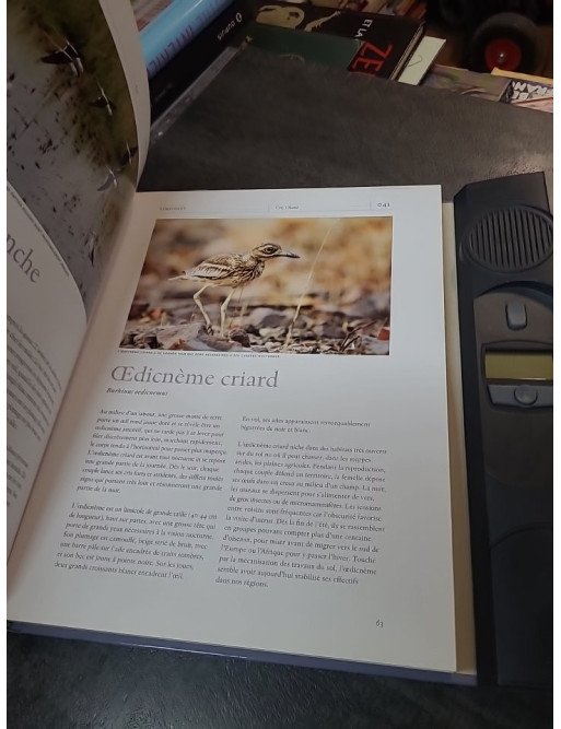 Chants d'Oiseaux : Guide illustré et sonore (lecteur intégré) de Lars Svensson et Jan Pedersen | Larousse