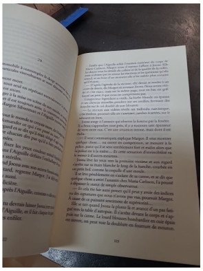 Désaxé de Lars Kepler : Thriller policier scandinave - Actes Noirs
