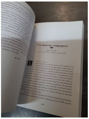 Les grandes affaires criminelles d'Ille-et-Vilaine : Récits et faits divers historiques par Christophe Belser