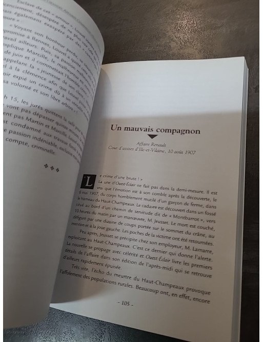 Les grandes affaires criminelles d'Ille-et-Vilaine : Récits et faits divers historiques par Christophe Belser