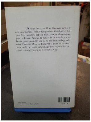 Sous le signe des Gémeaux de Rosamunde Pilcher : L'échange d'identité entre deux sœurs jumelles