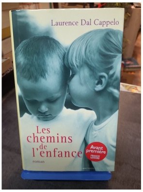 Les chemins de l'enfance de Laurence Dal Cappelo : Un roman sur les souvenirs et les découvertes de jeunesse
