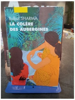 La Colère des Aubergines, Récits Gastronomiques de Bulbul Sharma : Histoires de femmes et de nourriture en Inde