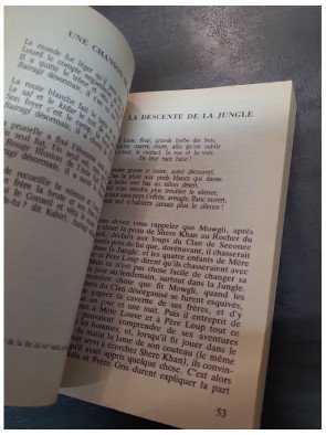 Le Second Livre de la Jungle de Rudyard Kipling : Les nouvelles aventures de Mowgli et du peuple de la jungle