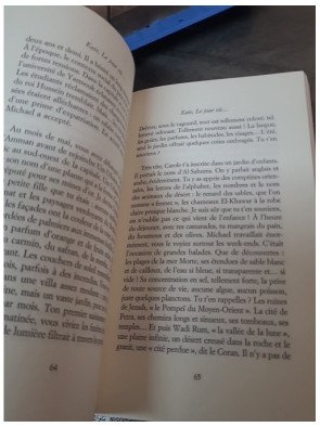 Kate - Le jour où... : L'enquête intime de Bertrand Deckers sur la Princesse de Galles