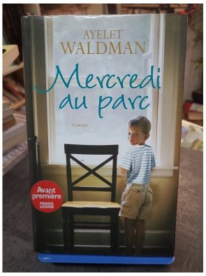 Mercredi au parc : Le roman émouvant d'Ayelet Waldman sur le deuil, la maternité et le rôle de belle-mère