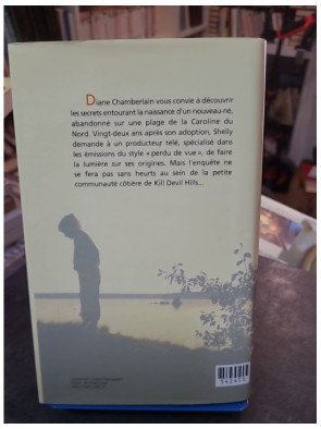 L'Enfant de l'été de Diane Chamberlain : mystère, secrets de famille et quête des origines en Caroline du Nord