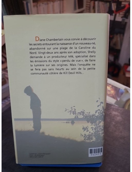 L'Enfant de l'été de Diane Chamberlain : mystère, secrets de famille et quête des origines en Caroline du Nord