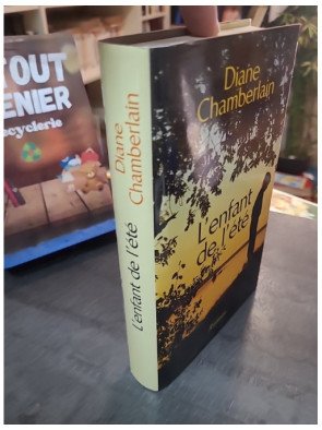 L'Enfant de l'été de Diane Chamberlain : mystère, secrets de famille et quête des origines en Caroline du Nord