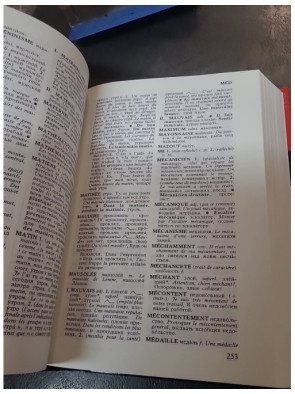 Dictionnaire français-russe et Russe-Français par Paul Pauliat : L'outil Larousse indispensable pour la langue russe