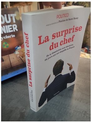 La Surprise du chef : Les 28 jours qui ont stupéfié la France de la dissolution aux élections, par Pauline de Saint Remy