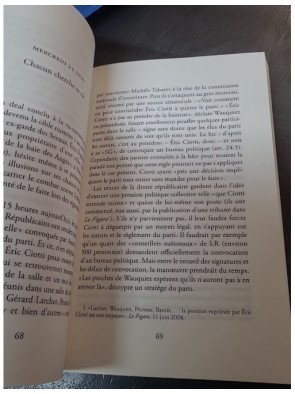 La Surprise du chef : Les 28 jours qui ont stupéfié la France de la dissolution aux élections, par Pauline de Saint Remy
