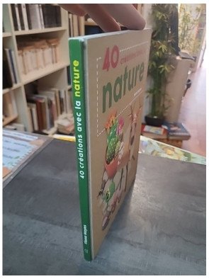 40 Créations Avec La Nature - Loisirs Créatifs et Écologie par Fiona Hayes