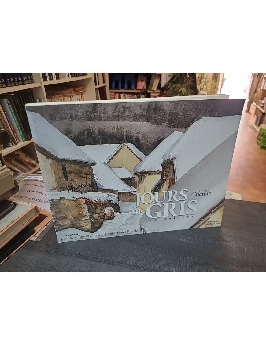 Jours de Gris : L'Aquarelle entre brumes et évanescence par Annie Chemin, Patrick Chemin et J-P Agresti
