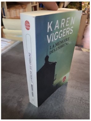 La Mémoire des embruns Karen Viggers - Roman Émouvant sur le Deuil, les Secrets et la Tasmanie Sauvage
