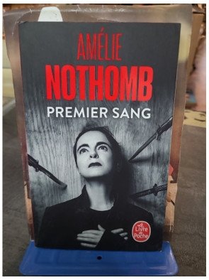 Premier Sang - Amélie Nothomb - Récit familial et autobiographique, Prix Renaudot 2021