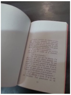 Premier Sang - Amélie Nothomb - Récit familial et autobiographique, Prix Renaudot 2021