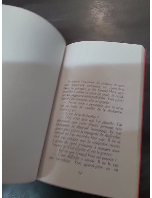 Premier Sang - Amélie Nothomb - Récit familial et autobiographique, Prix Renaudot 2021