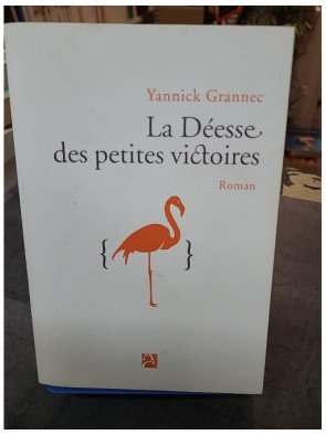 La déesse des petites victoires - Yannick Grannec (Prix des libraires 2013) : l'épopée d'un génie et d'un amour à Princeton