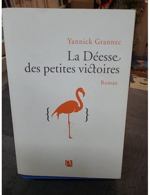 La déesse des petites victoires - Yannick Grannec (Prix des libraires 2013) : l'épopée d'un génie et d'un amour à Princeton