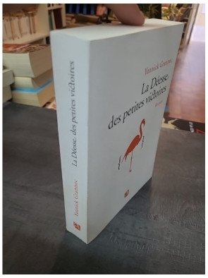 La déesse des petites victoires - Yannick Grannec (Prix des libraires 2013) : l'épopée d'un génie et d'un amour à Princeton