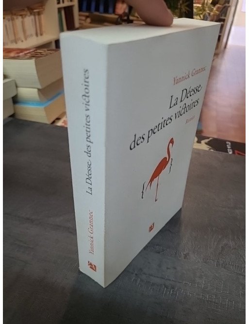 La déesse des petites victoires - Yannick Grannec (Prix des libraires 2013) : l'épopée d'un génie et d'un amour à Princeton