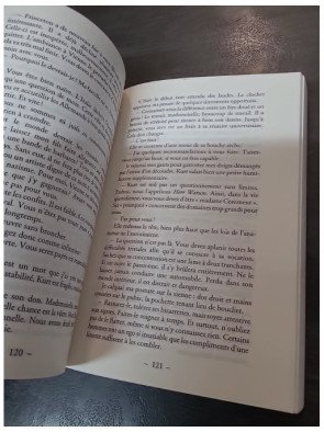 La déesse des petites victoires - Yannick Grannec (Prix des libraires 2013) : l'épopée d'un génie et d'un amour à Princeton
