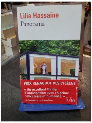 Panorama de Lilia Hassaine – Dystopie, Thriller d'anticipation et critique sociale