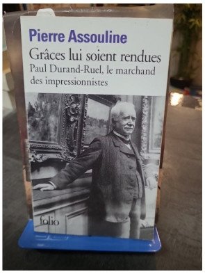Grâces lui soient rendues : Paul Durand-Ruel, le marchand des impressionnistes par Pierre Assouline