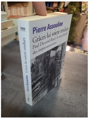 Grâces lui soient rendues : Paul Durand-Ruel, le marchand des impressionnistes par Pierre Assouline