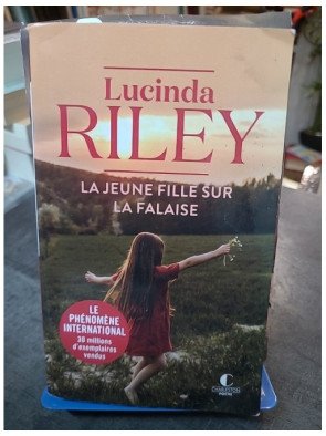La jeune fille sur la falaise : le roman émouvant de Lucinda Riley