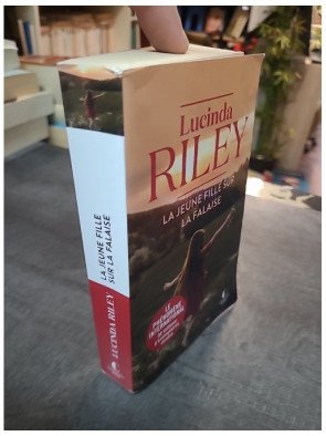 La jeune fille sur la falaise : le roman émouvant de Lucinda Riley