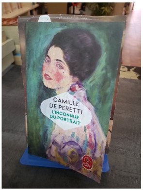 L'Inconnue du portrait : roman d'histoire d'art par Camille de Peretti (Prix Maison de la Presse)