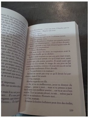 L'Inconnue du portrait : roman d'histoire d'art par Camille de Peretti (Prix Maison de la Presse)