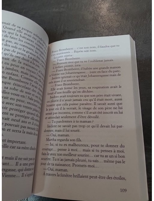 L'Inconnue du portrait : roman d'histoire d'art par Camille de Peretti (Prix Maison de la Presse)