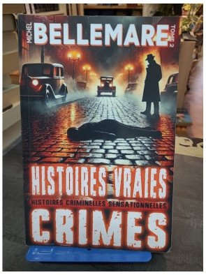 Histoires Vraies – Crimes Oubliés Tome 2 - Meurtres et Disparitions - Michel Bellemare