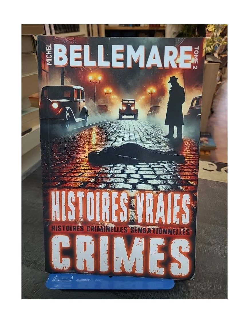 Histoires Vraies – Crimes Oubliés Tome 2 - Meurtres et Disparitions - Michel Bellemare