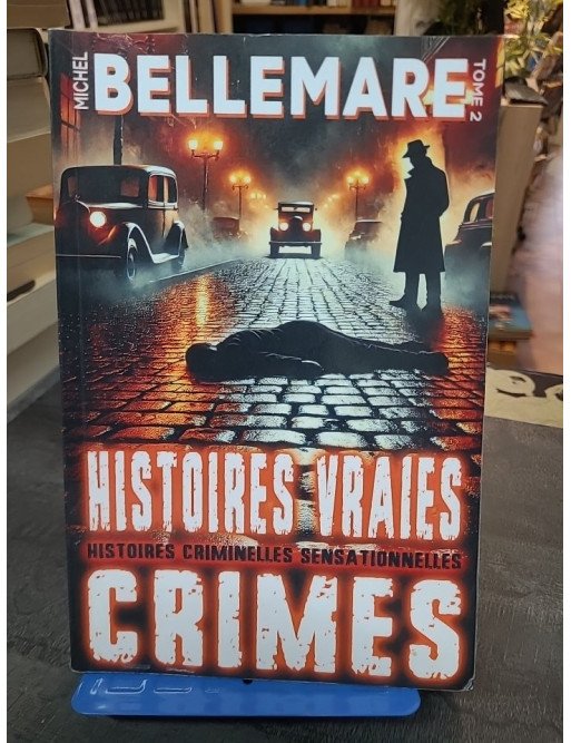Histoires Vraies – Crimes Oubliés Tome 2 - Meurtres et Disparitions - Michel Bellemare