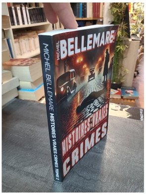 Histoires Vraies – Crimes Oubliés Tome 2 - Meurtres et Disparitions - Michel Bellemare