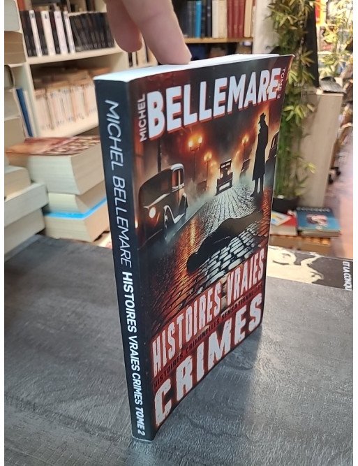 Histoires Vraies – Crimes Oubliés Tome 2 - Meurtres et Disparitions - Michel Bellemare