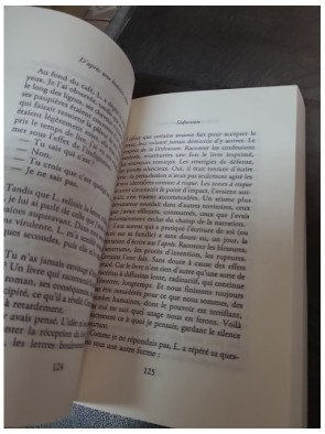 D'après une histoire vraie - Roman lauréat du Prix Renaudot 2015 de Delphine de Vigan