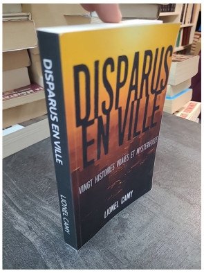 Disparus En Ville - Vingt histoires vraies et mystérieuses - Lionel Camy