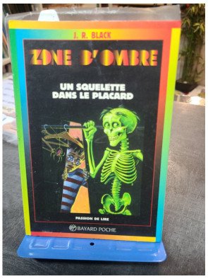 Un Squelette Dans Le Placard - Roman Jeunesse Mystère Zone d'ombre par J-R Black