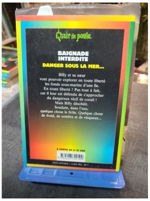 Chair De Poule Tome 7 : Baignade Interdite - Roman Frisson Jeunesse de R. L. Stine