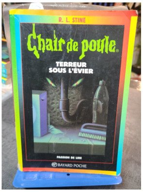 Chair De Poule - Tome 21 - Terreur Sous L'evier R. L. Stine