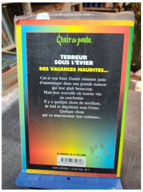 Chair De Poule - Tome 21 - Terreur Sous L'evier R. L. Stine