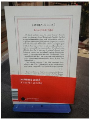 Le secret de Sybil : Roman sur l'amour d'enfance et la quête de vérité - Laurence Cossé