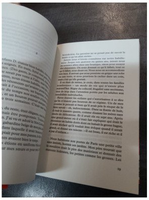 Le secret de Sybil : Roman sur l'amour d'enfance et la quête de vérité - Laurence Cossé