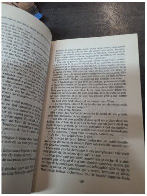 Pour tout l'or du Sud - Roman historique et passionnel d'Alexandra Ripley dans l'Amérique de 1880
